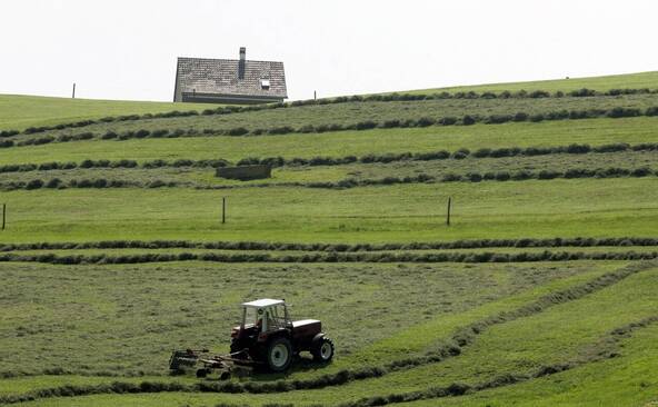Le National insiste sur une autorisation facilitée des pesticides