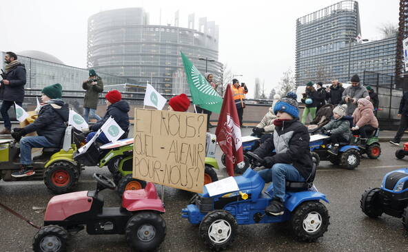 Mercosur: le Parlement européen saisit la justice de l'UE