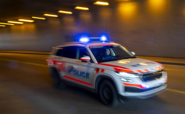 Une femme retrouvée morte à Carouge, son compagnon suspecté