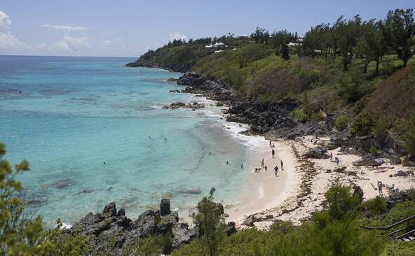 Un petit escargot des Bermudes officiellement sauvé de l'extinction
