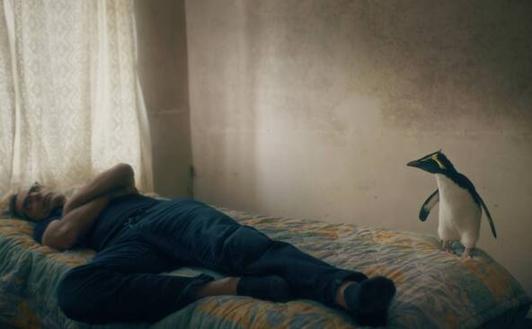 La Suisse marque le « Panorama » de la Berlinale