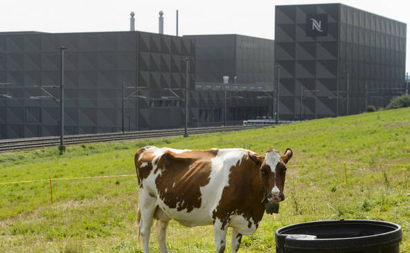 Demi-tonne de cocaïne chez Nespresso: trafiquants punis à Muttenz