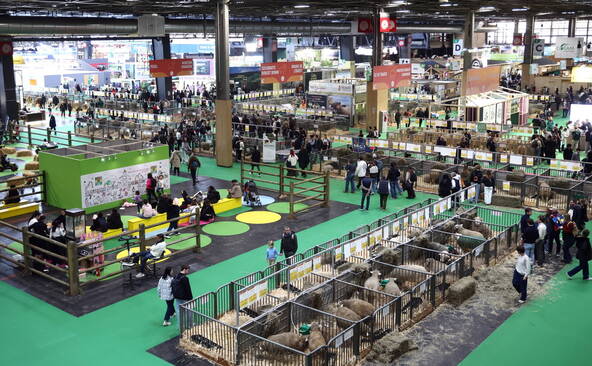 Chute de la fréquentation pour le Salon de l'agriculture