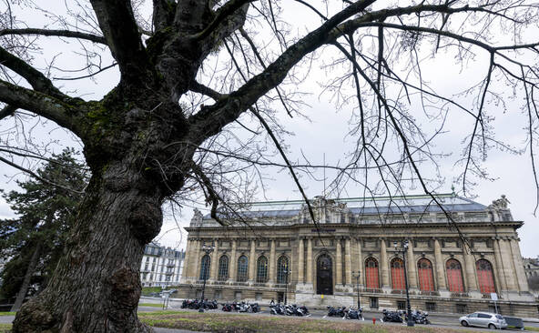 Le MAH de Genève rend hommage à l'artiste Carlos Schwabe