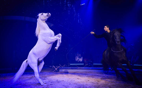 Sons et lumières innovants pour la tournée 2026 du Cirque Knie