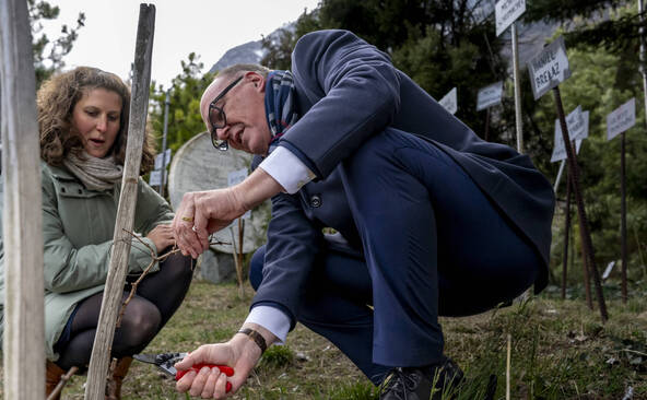 Martin Pfister et Matthias Bellwald sur la vigne à Farinet