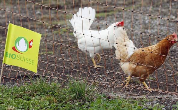 Le marché bio suisse a progressé de 2,8 % en 2025