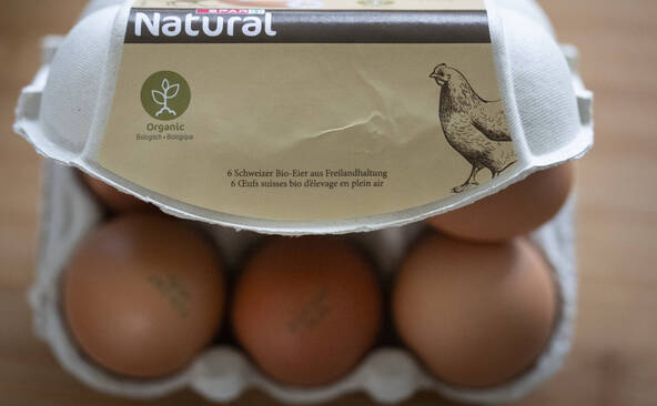 Mesures fédérales pour contrer la pénurie d'oeufs