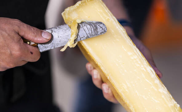 Raclette du Valais AOP: fleuron culinaire et pilier économique
