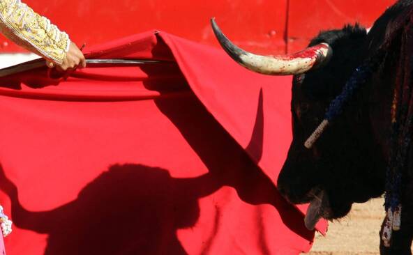 Un ancien matador mortellement encorné avant une corrida