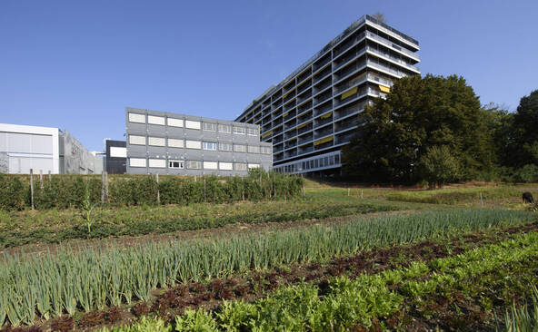 Genève célèbre l'agriculture urbaine pendant 48 heures