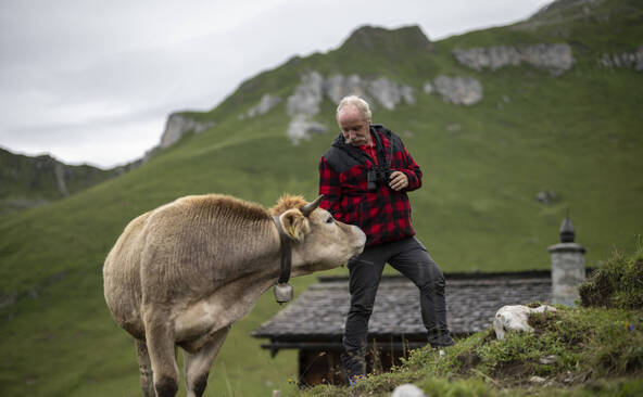 Une étude explique le manque de personnel dans les alpages