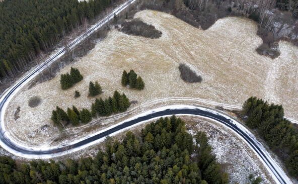 Une femme de 58 ans tuée par un ours en Pologne