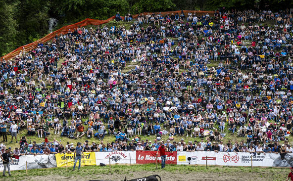 Combats de reines: le Haut-Valais organise la Finale nationale