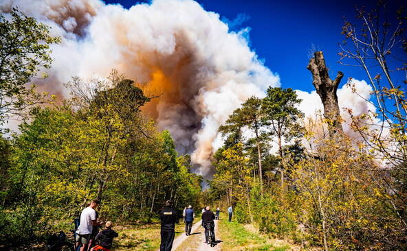Pays-Bas: Un incendie ravage un terrain d'entraînement militaire