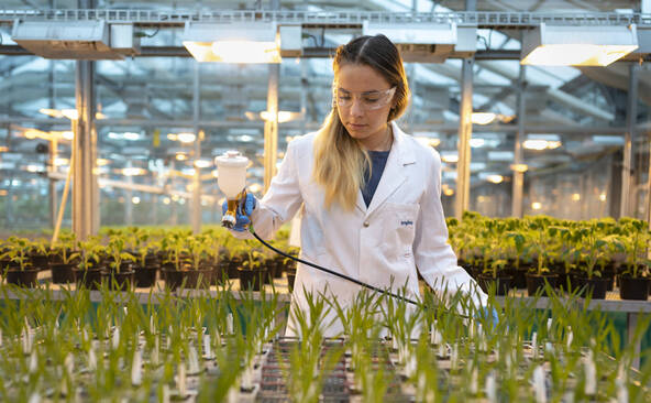 Syngenta progresse au premier partiel grâce à l'innovation