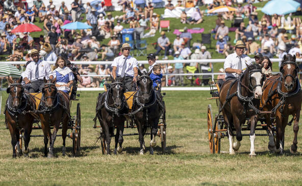 Un Marché-Concours aux couleurs bernoises se prépare