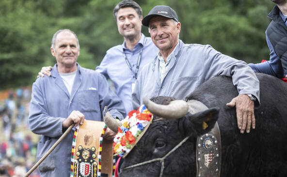 La favorite Canaille sacrée reine des reines des vaches d'Hérens