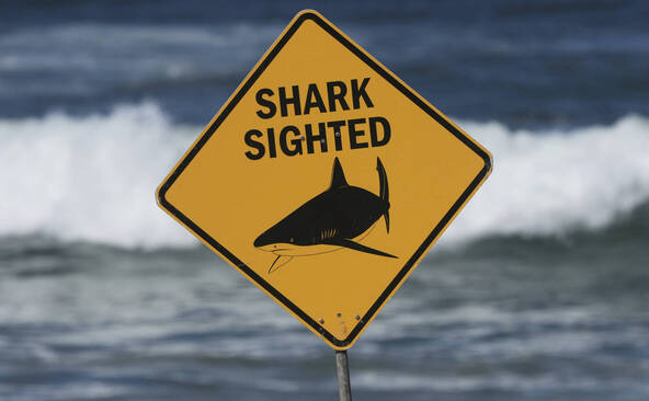 Australie: homme dans un état critique après une attaque de requin