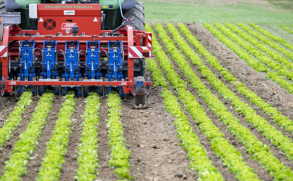 Aide fédérale à l'agriculture, impactée par les accords commerciaux