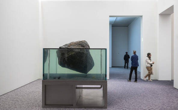 L'univers éphémère de Pierre Huyghe à la Fondation Beyeler