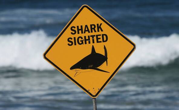Un homme meurt après une attaque de requin dans le Queensland (AUS)