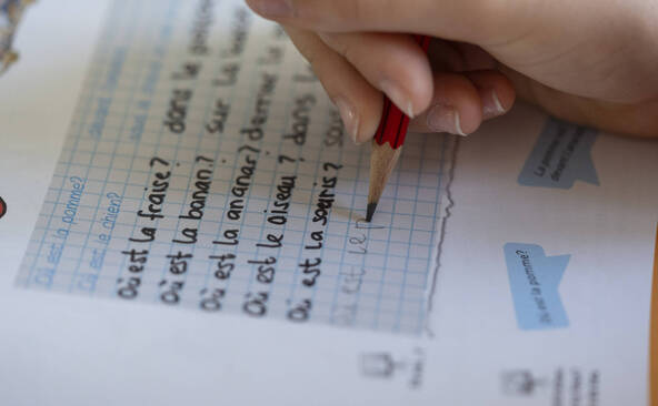 Enseignants bâlois et soleurois divisés sur le français au primaire