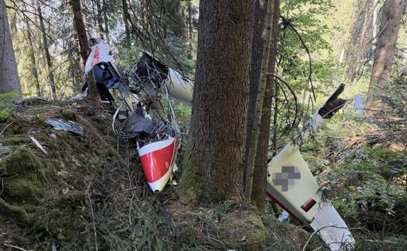 Le pilote d'un planeur meurt dans un crash à Reichenburg (SZ)