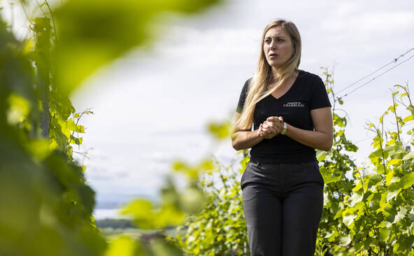 Neuchâtel: association pour valoriser « l'excellence » du vignoble