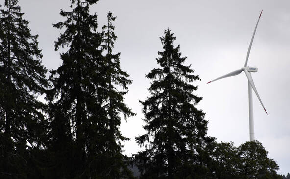 Les associations environnementales contre le blocage de l'éolien