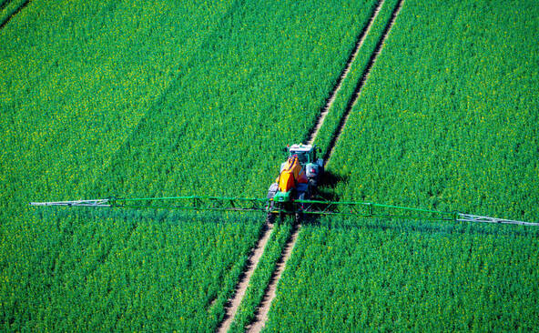 Le Parlement valide une autorisation facilitée des pesticides
