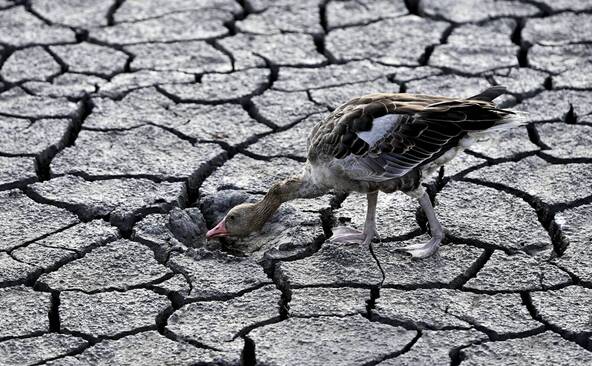 Climat: les conditions extrêmes deviennent « la norme »