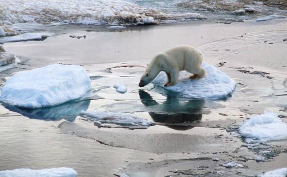 Réchauffement record et menaces sur l'observation de la Terre