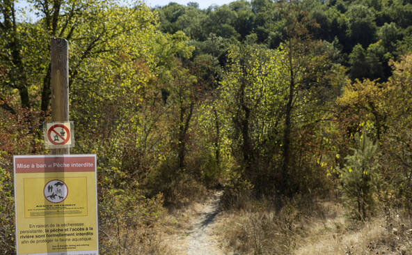 Le degré de la menace d'incendie en forêt relevé à 3 sur 5 à Genève