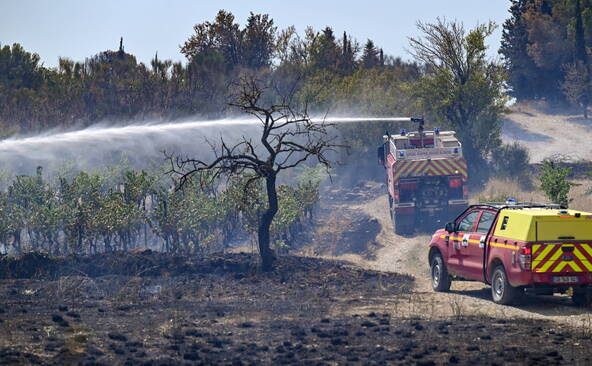France: près de 100 hectares brûlés dans le Maine-et-Loire