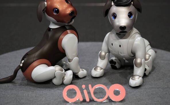 Sony arrête la vente de son chien robot « aibo » au Japon