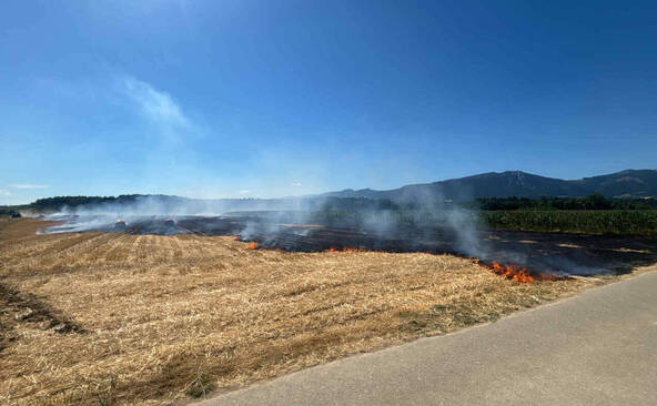Champ de chaume en feu à Deitingen (SO): 200 ares en fumée