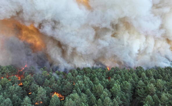 France: la forêt de Fontainebleau, près de Paris, en feu