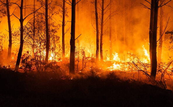 Incendies en France: nouvelles évacuations près de Bordeaux