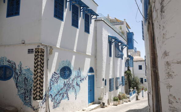 Le village de Sidi Bou Saïd, en Tunisie, inscrit à l'Unesco