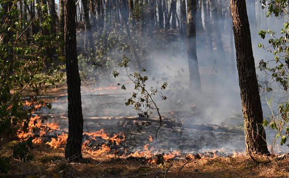 Gironde: feu « toujours stabilisé », le risque de reprises persiste