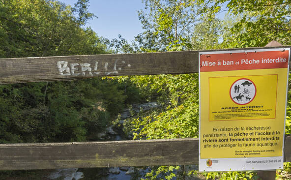 Mise à ban d'un tronçon de l'Allondon à cause de la sécheresse