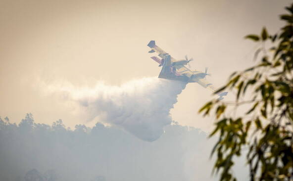 Incendie de forêt en Andalousie: 4000 hectares touchés