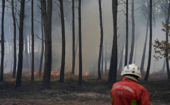 Un incendie ravage 1100 hectares dans le sud-ouest de la France