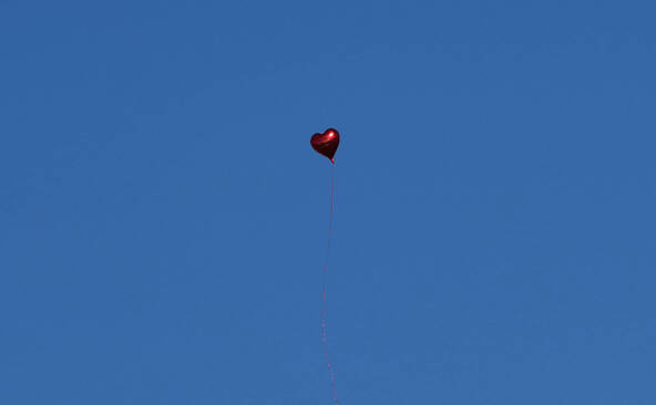 De Berlin à Bialowieza, un petit ballon parcourt 900 kilomètres
