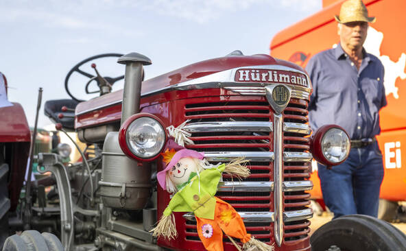 Des centaines de vieux tracteurs admirés à Vucherens (VD)