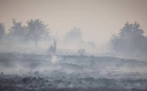 Incendie en Belgique: une ville allemande partiellement évacuée