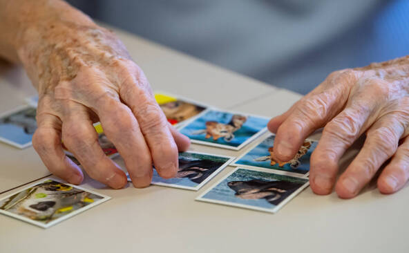 Roche: feu vert de la FDA pour un test de la maladie d'Alzheimer