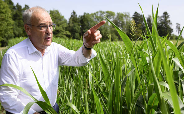 Manque de fourrage: Guy Parmelin visite une exploitation vaudoise