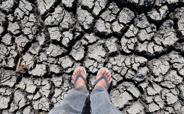 L'étude des coraux montre qu'El Niño s'intensifie avec le climat